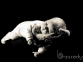 012_sesja_niemowleca